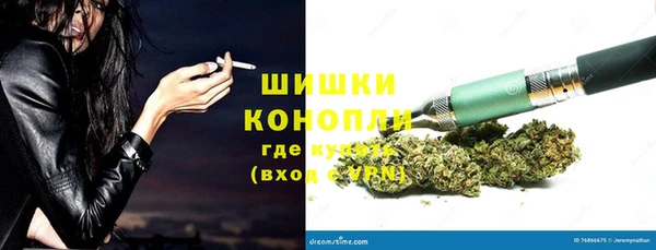 гашик Богородск