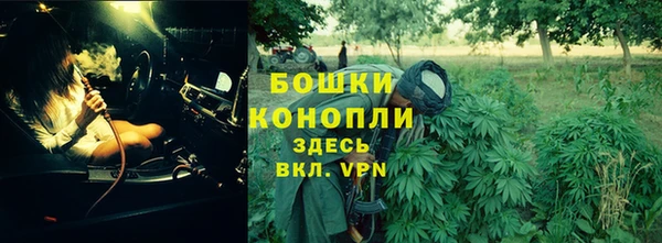 MESCALINE Богданович